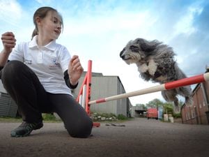 Getting ready to compete in the Junior European Open Agility Championships, is Hannah Thorp, aged 15, of Dudley, with her dog 'Izzie', at Brookfields Equestrian Centre, Shareshill