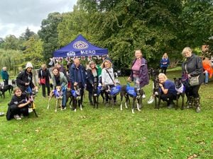 Home Run Hounds put on one event at Himley Hall