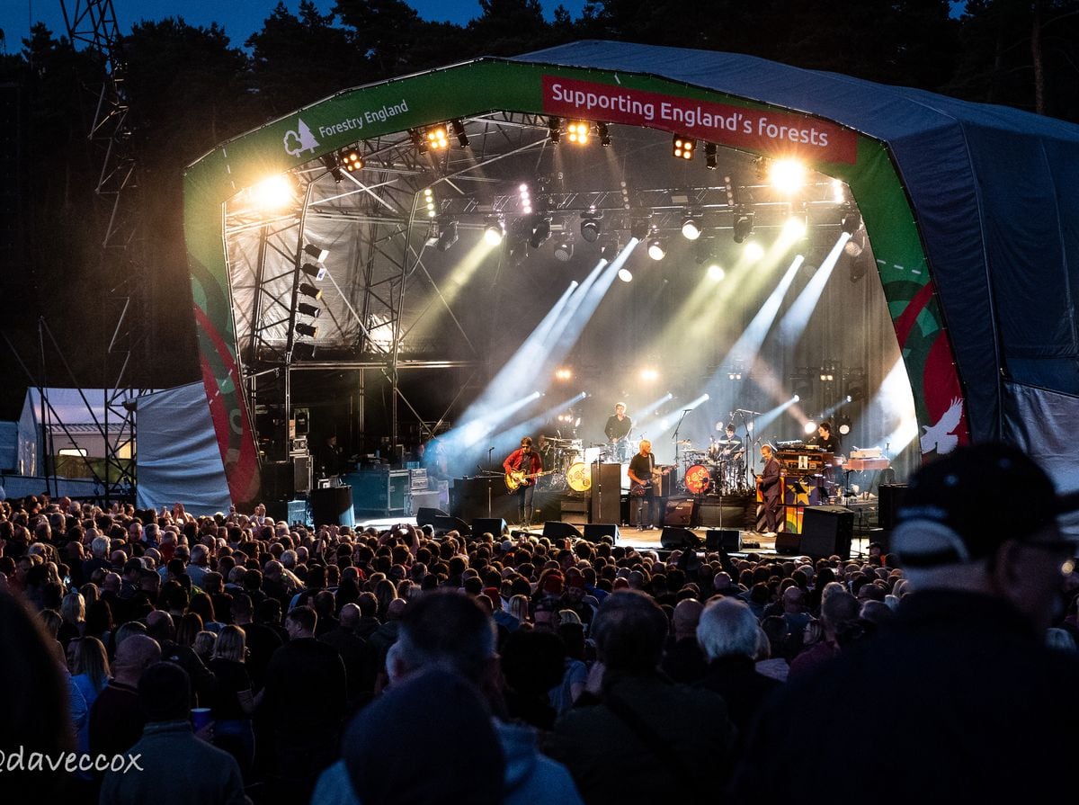 The stage at Cannock Chase Forest, set at the bottom of the bowl area
