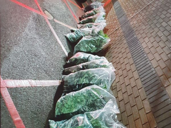 Police seized bags of the drug
