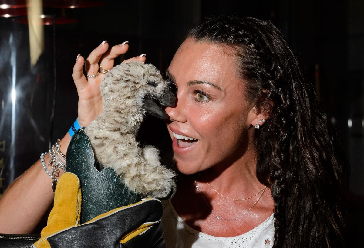 Michelle Heaton attends the launch of Dinosaurs In The Wild