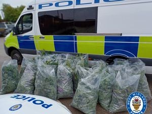 Cannabis seized by police in the raid
