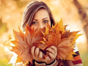 Leaf it out – ready for a change in the seasons 