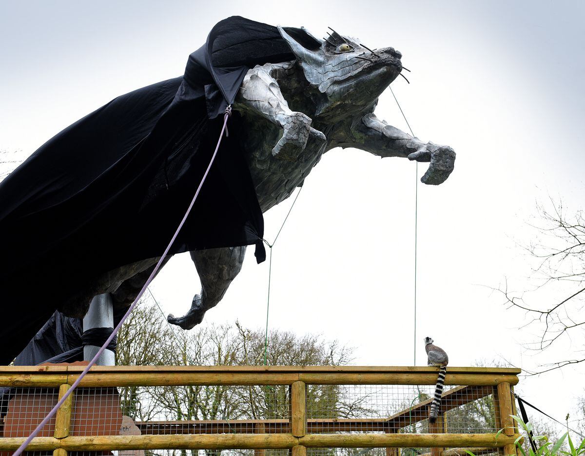 A lemur has a sneak peak at the statue before it is officially unveiled