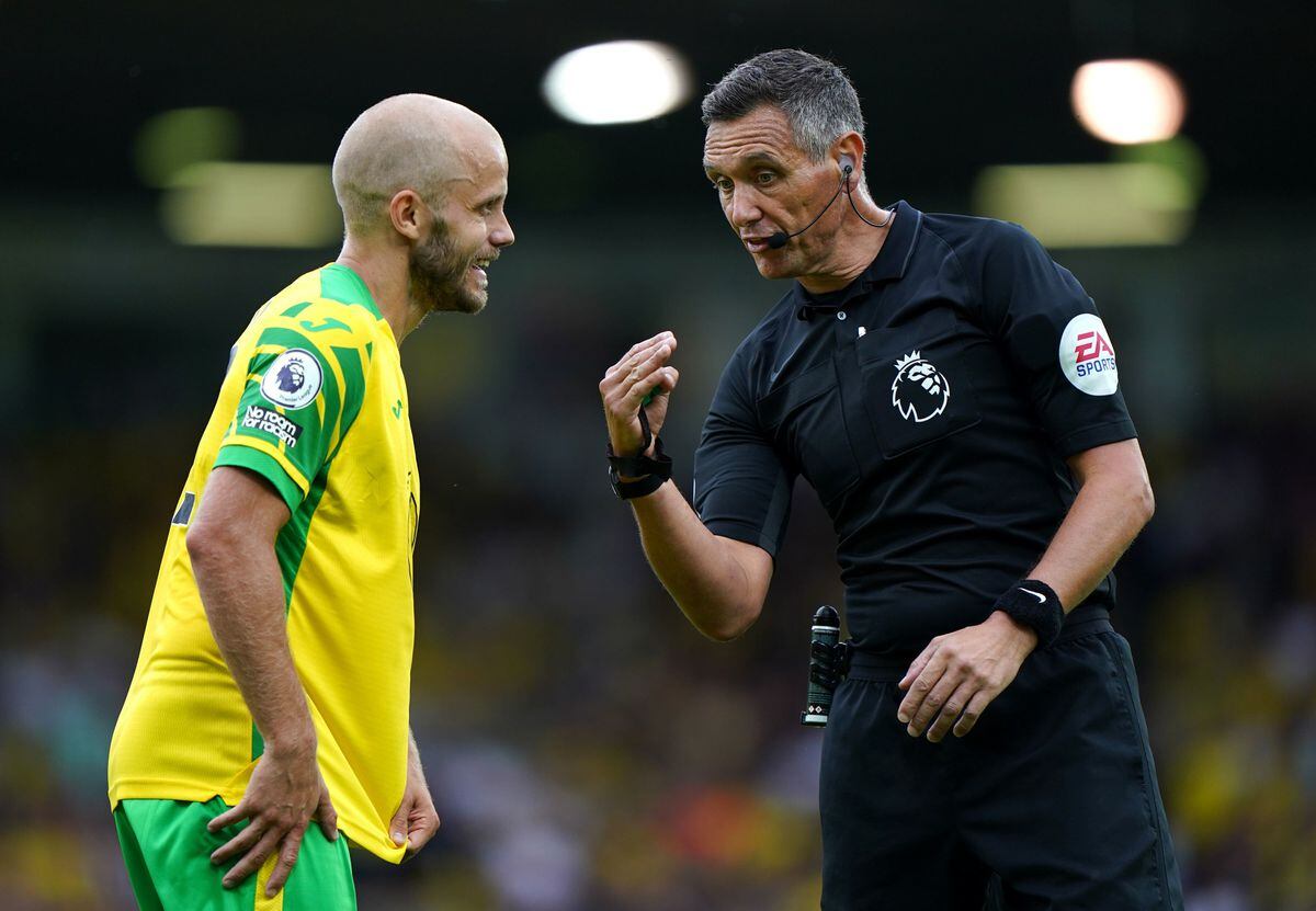               Norwich City's Teemu Pukki with referee Andre Marriner