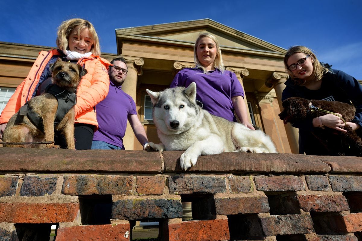 Getting ready for the Compton Hospice tail waggers event at Himley Hall in April. Dawn Smith with Bella, Mike Dixon, Rebecca Worrallo with Skye, and Charlotte Lilley with Daisy. Pic: Tim Sturgess