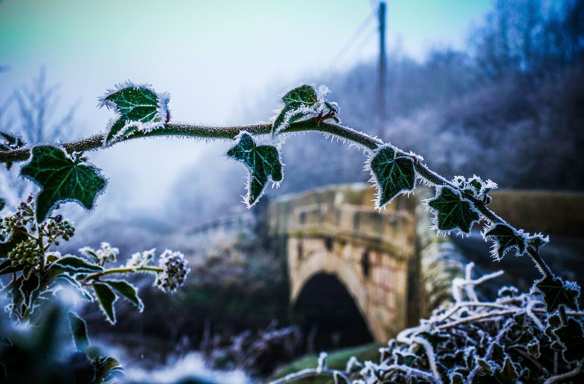 Frosty scene in  Stanton upon Hine Heath, near, Shrewsbury. Photo: Jemma McCarthy. 