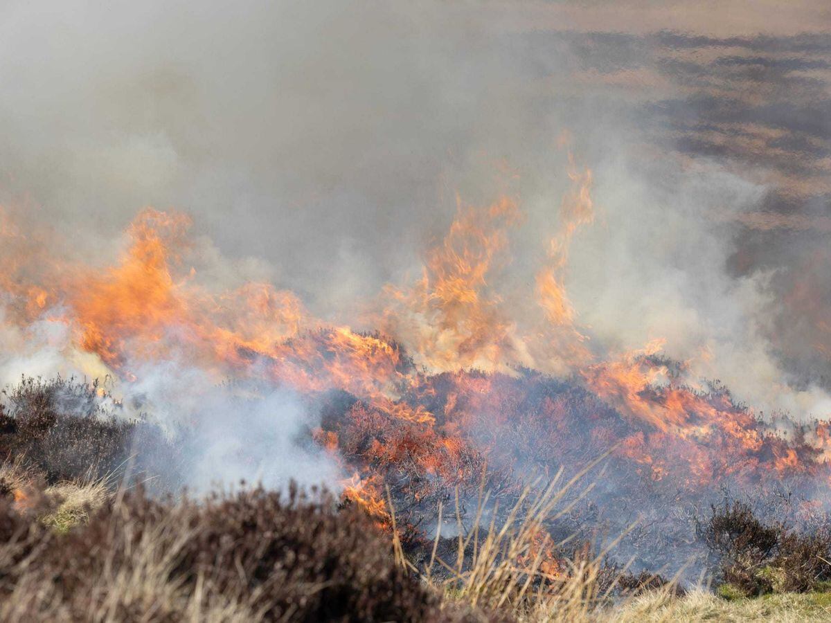 Heather being burnt on peatlands in the North Pennines