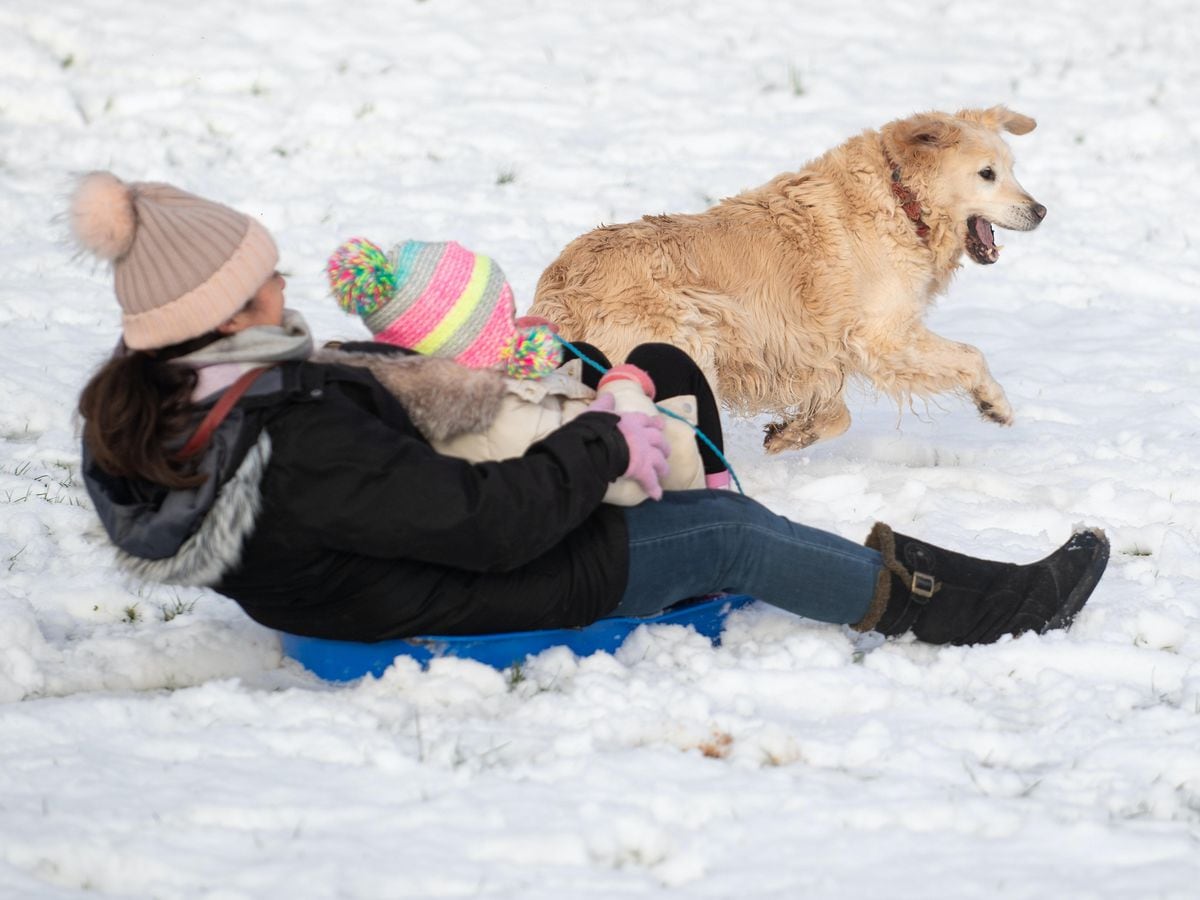 In Pictures: Frolics in the snow as cold snap hits parts of UK ...