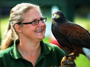 The Eccleshall Show. Pictured: Jenny Morgan with Brook the Harris hawk, from Gentleshaw Wildlife Centre