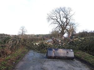 A tree has fallen in Rudge Road, Pattingham - picture: @BridgnorthCops