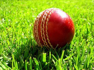 Stafforshire in control as they chase opening victory