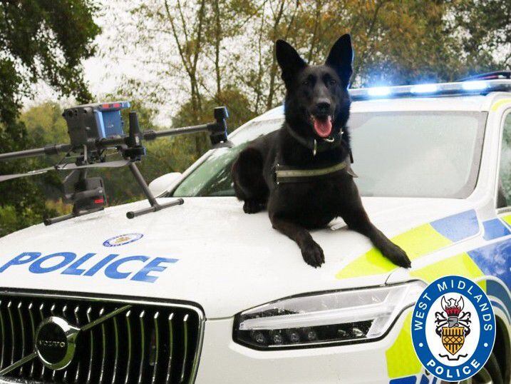 Man caught by police dog after officer is dragged and injured by car he was trying to stop