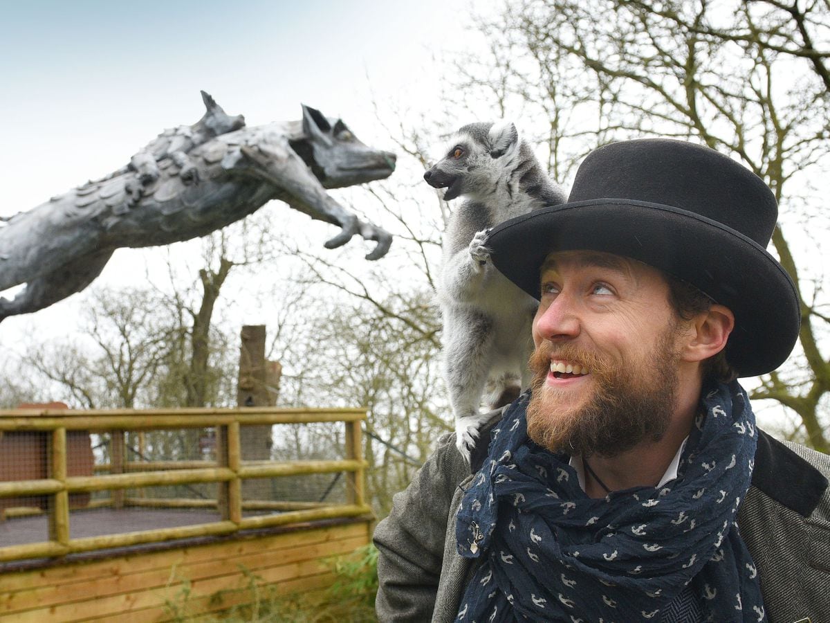Metal sculptor Luke Perry’s latest giant statue has been unveiled at Dudley Zoo and Castle in the lemur enclosure