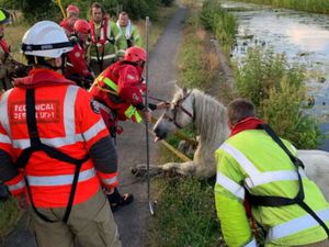 Firefighters rescued a horse that had become stranded in a canal off Goscote Lane, Bloxwich