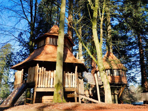 The central hut inspired by the Highgrove treehouse