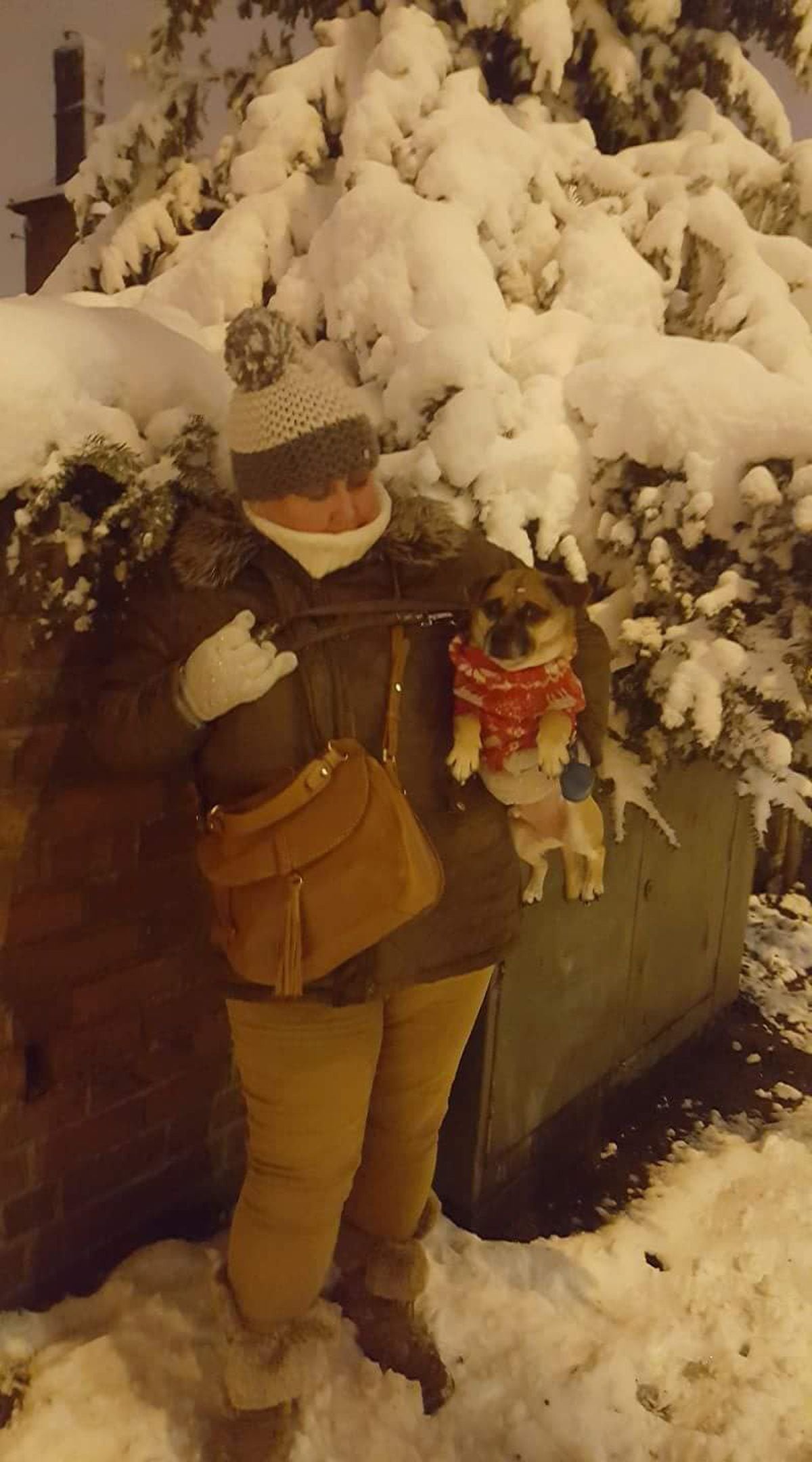Lisa Ward is shown with Kip the dog in Tividale