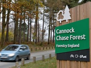 CANNOCK  COPYRIGHT TIM STURGESS EXPRESS AND STAR...... 18/11/2020. CA: GVs of Cannock Chase and  car parks and lay-bys as we do loads of stories about the plans to overhaul parking on the Chase which is controversial etc. Pictured, Birches Valley....
