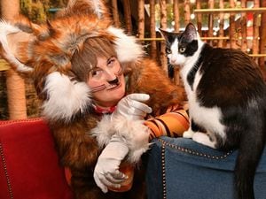 Doreen Tipton at The Kitty Cafe in Birmingham. Doreen is appearing as 'Doreen the Cat, in Dick Whittington at Birmingham Hippodrome. Photo: Simon Hadley