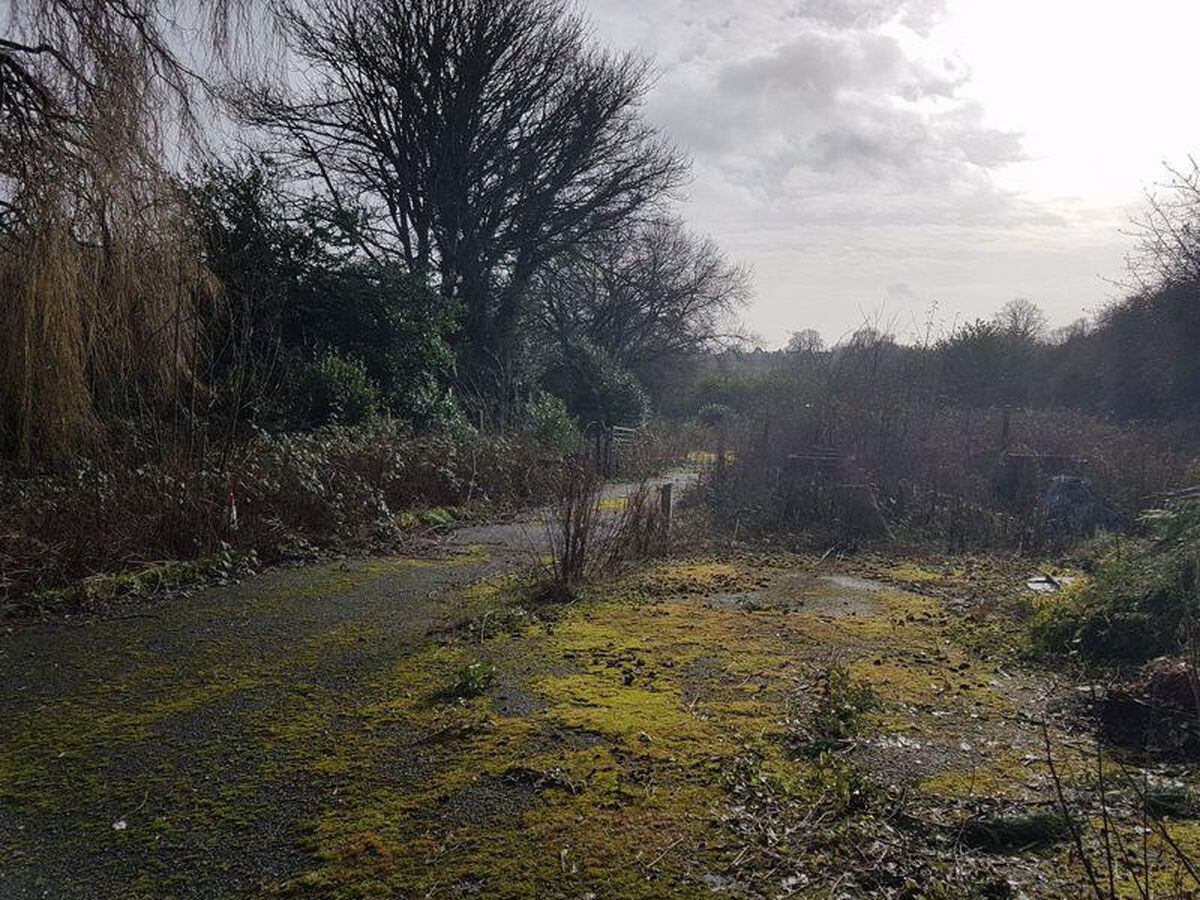 The land behind the bungalow that's up for sale. Photo: Cottons/Rightmove