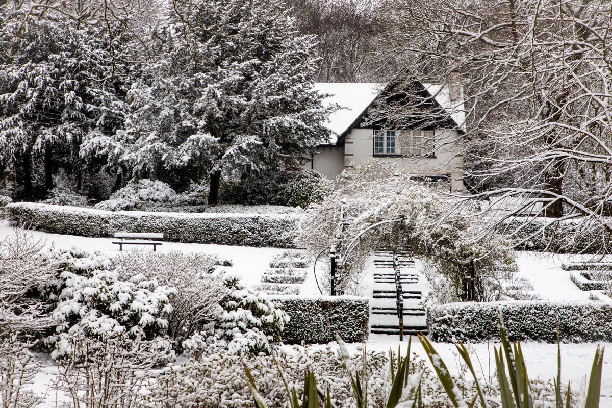 Walsall Arboretum in the snow. Pic: Steve Kendrick