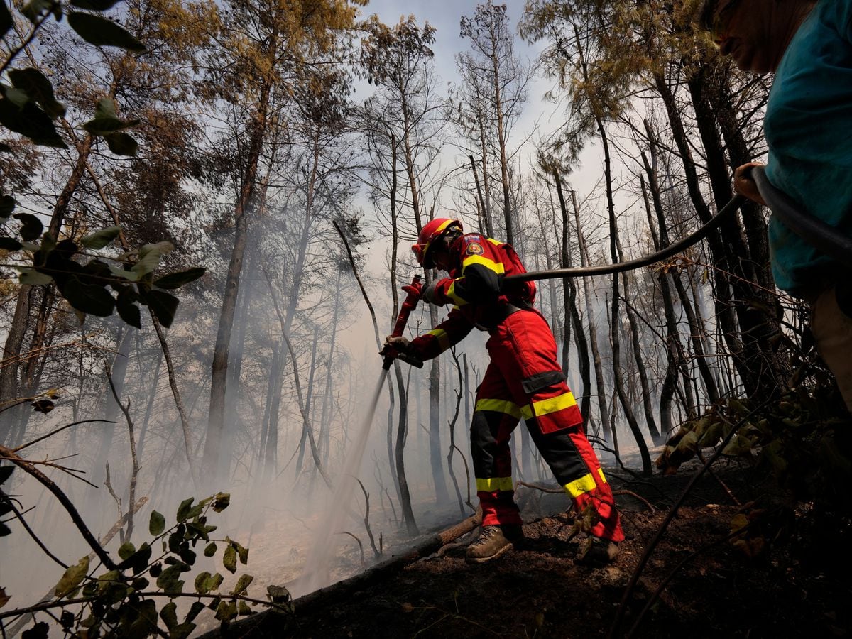Combined international effort halts spread of wildfires across Greece ...