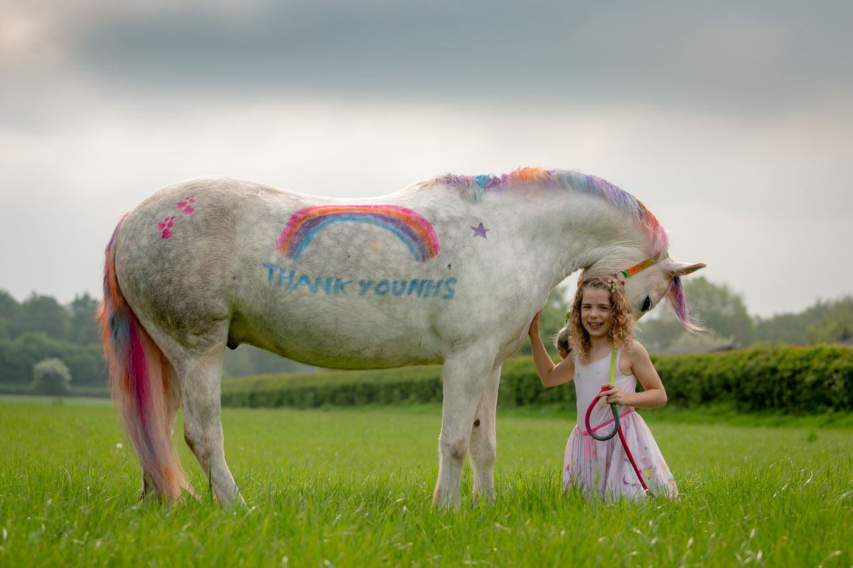 Amber Price, 8, of Bridgnorth, with her New Forest Pony, Bear, who has been painted with a thank you to the NHS using special pony paint. Photo: Peter Lopeman