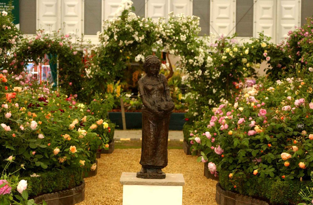 The David Austin Roses display at Chelsea Flower Show