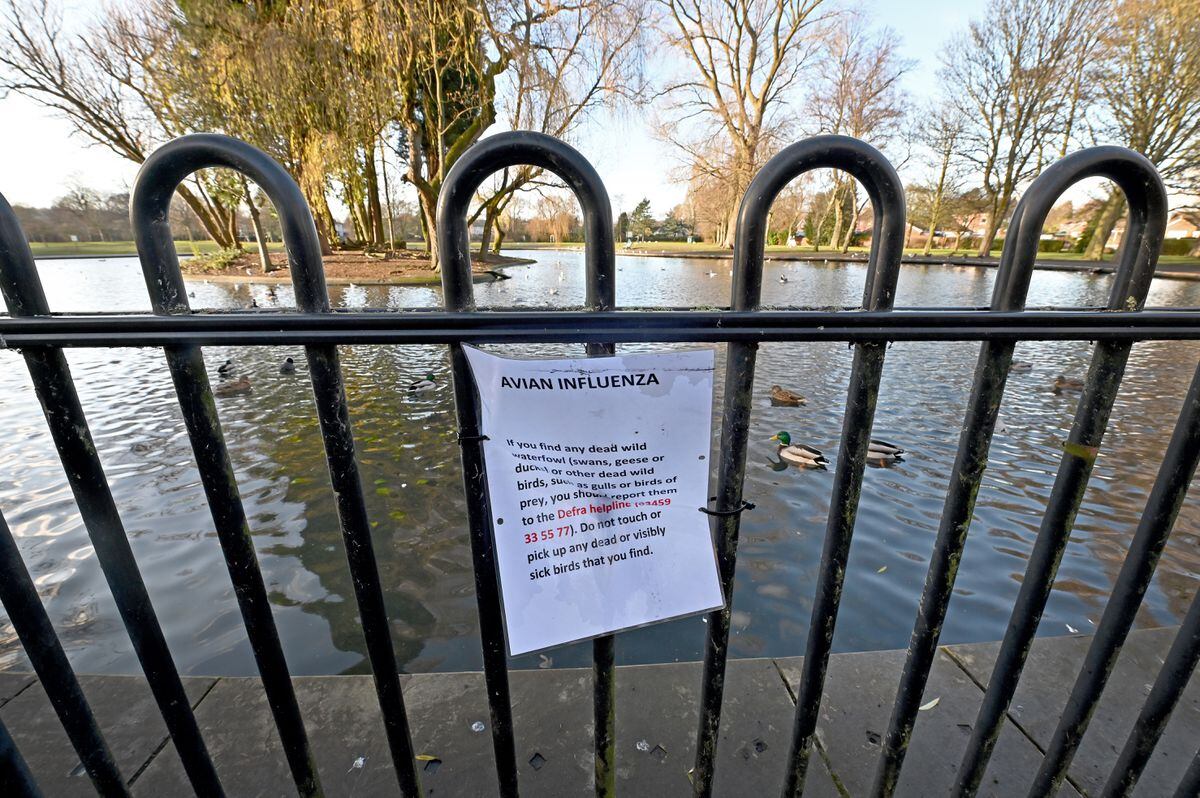 A warning sign in Victoria Park about bird flu