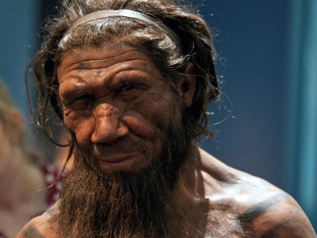 Africans and Europeans ‘have more Neanderthal ancestry ...