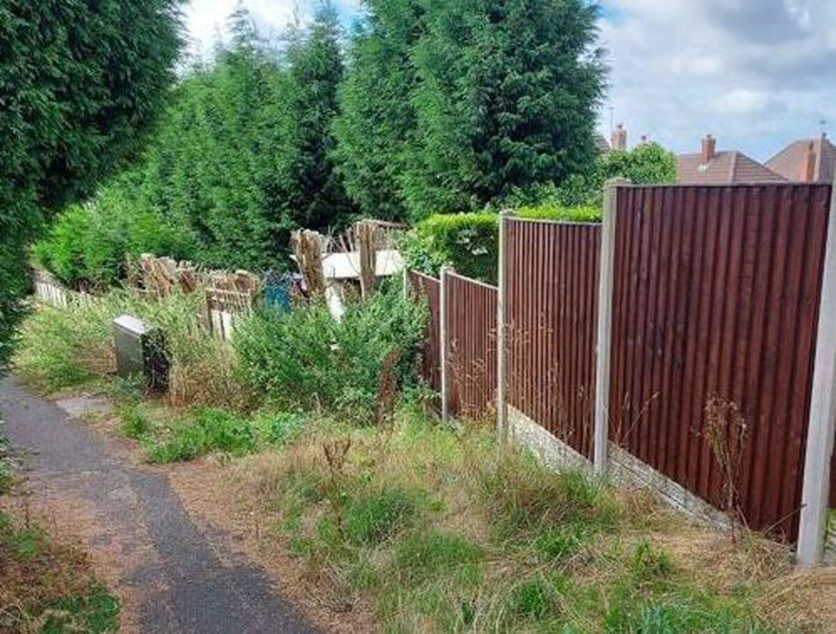 Overgrown areas in Upper Gornal and Woodsetton. Photo: Adrian Hughes