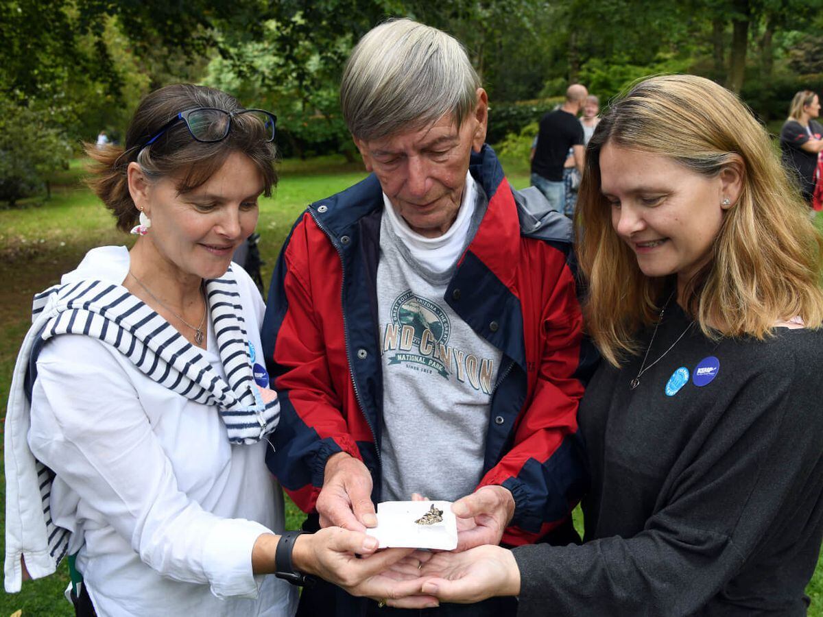 The KEMP Hospice butterfly release