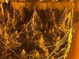 Police found a cannabis farm. Photo: @WillenhallWMP