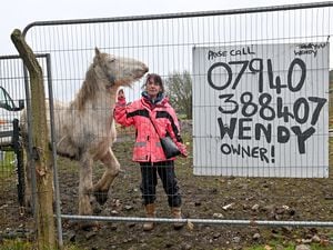 Wendy has been keeping rescue animals at the site for almost 25 years