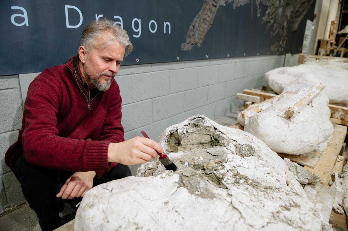 Palaeontologist Nigel Larkin will be working on the 'Sea Dragon' for the best part of two years