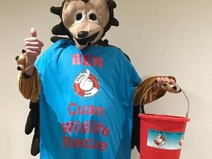 Ben is running in a hedghog costume for Cuan Wildlife Rescue