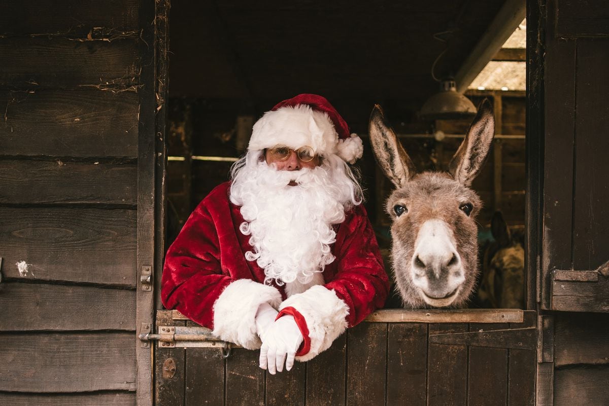 can you visit birmingham donkey sanctuary