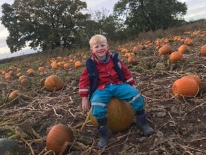 Pick your own pumpkins at Lower Drayton Farm this Halloween