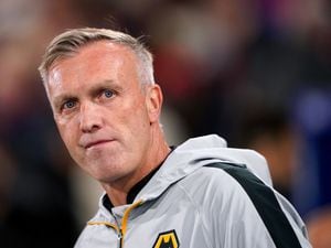Wolves caretaker manager Steve Davis