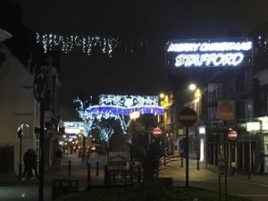 Stafford's Christmas lights last year