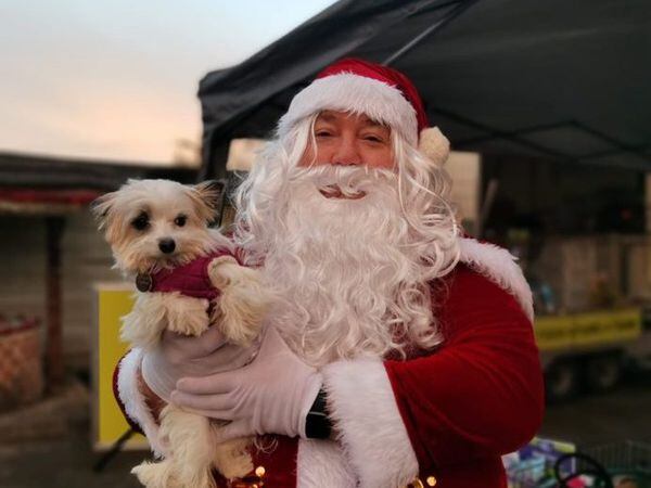 The Santa Paws event will raise funds to bring homeless dogs in from the cold