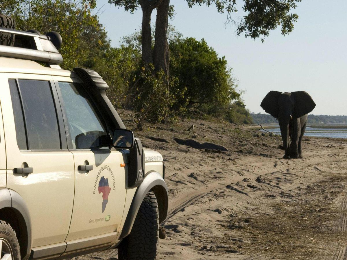 An elephant in Botswana (Ed Lane Fox/Archive/PA)