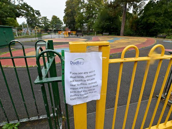 Pathways and the play area have been closed off to visitors due to suspected bird flu at Mary Stevens Park