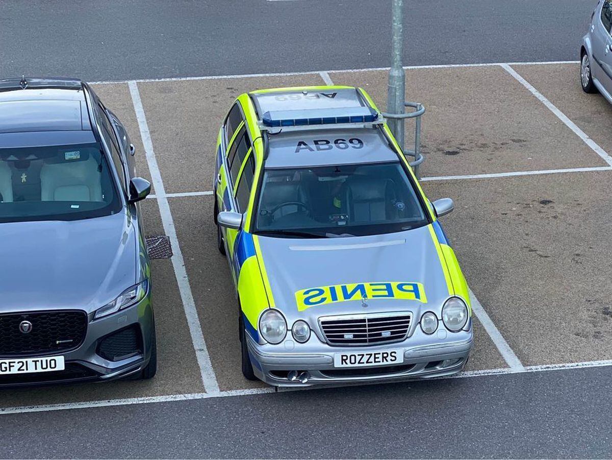You could be forgiven for thinking this is a real police car. Photo: Anthony Barrett