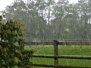 A rainy day in the region. Photo courtesy: Peter Steggles.