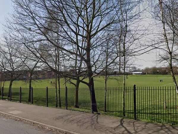 Kings Hill Park, Wednesbury. Photo: Google.