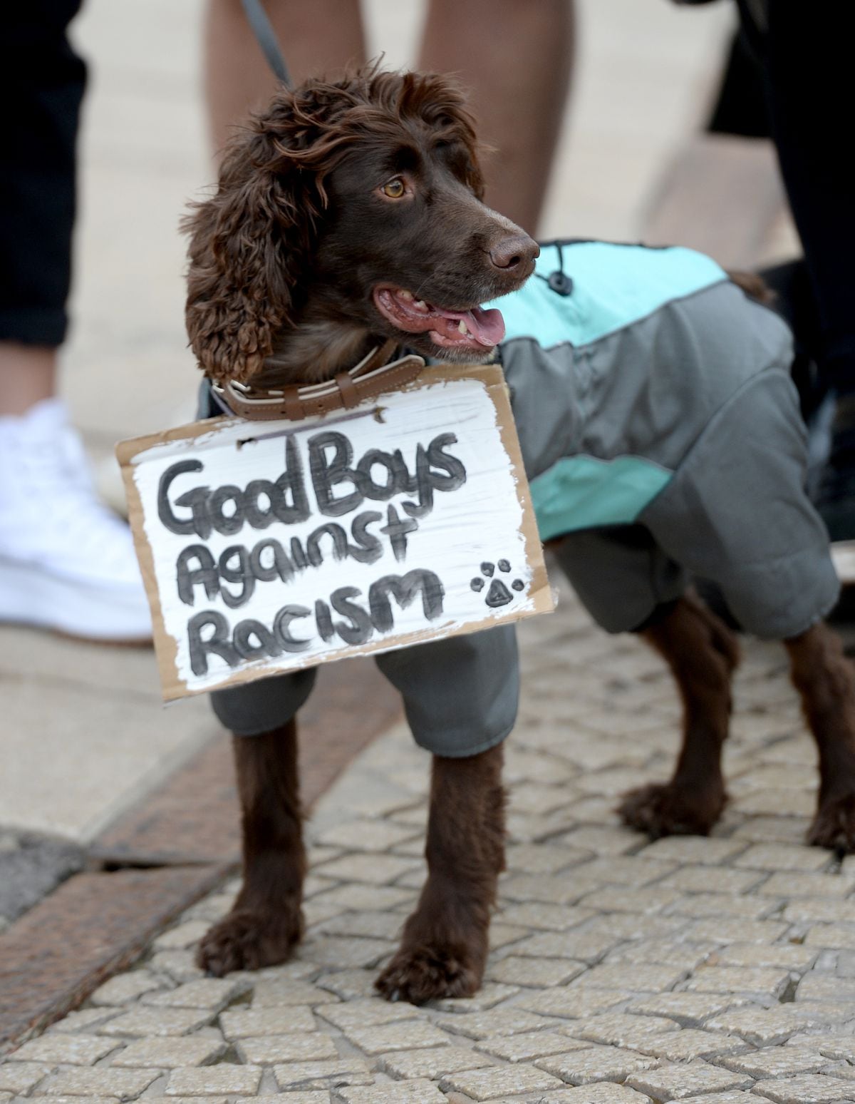 Even man's best friend was keen to take part in the protest