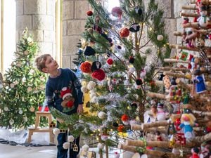 Christmas Tree Festival – Lochawe