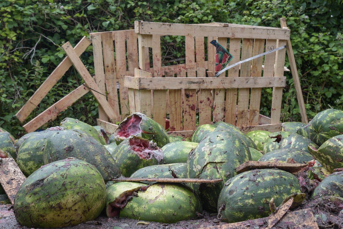 More than 100 watermelons have been dumped in an alleyway in Solihull. Photo: SnapperSK