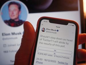 Musk lost the poll, but is still there